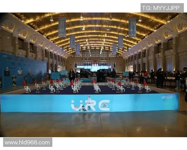 景菡一的成长之路：从平凡到卓越的奋斗历程与心灵探索